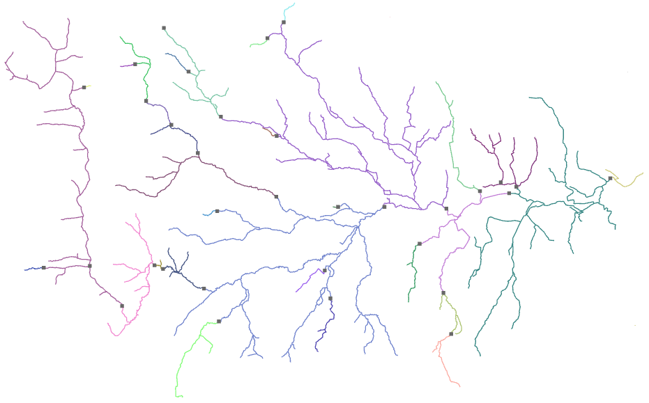 A screen shot showing the output of this tool. Network is colour coded by SubNetID field.