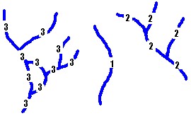 Catchment ID&apos;s