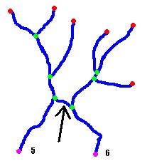 Catchment link