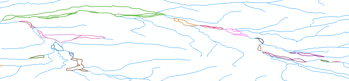 Network colour coded by loop ID