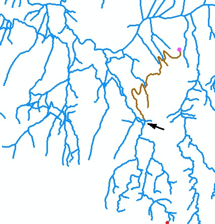 Incorrect processing