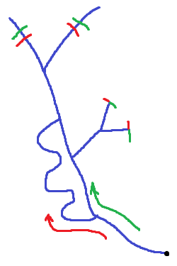 Influence of loop on nearby network