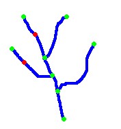 Links