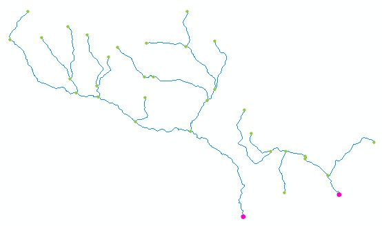 Mouth nodes