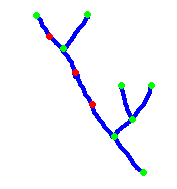 Pseudo nodes