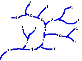 Simple network example