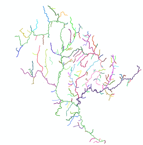 A network colour coded by source ID