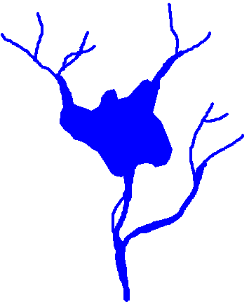 What you see on a map, areas and lines merged together as a single feature