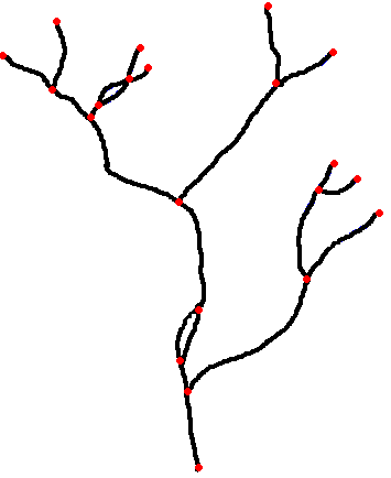 A centreline network, the logical data structure of a network.