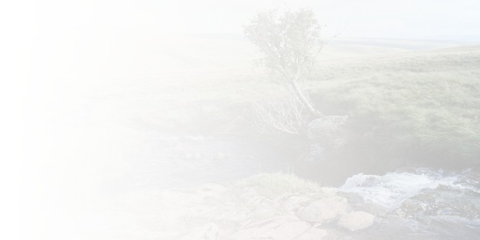 A background splash image.